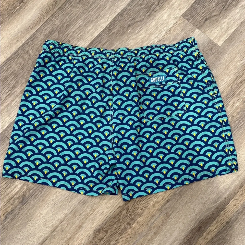 Capelle Miami Men's Swim Trunks Seahorse Print Lined 5.5